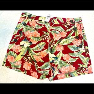 NWT- Ann Taylor -The Sailor Short